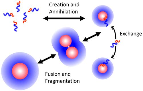 Dynamics and Equilibration Mechanisms in Block Copolymer Particles