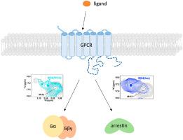 Conformational dynamics in GPCR signaling by NMR