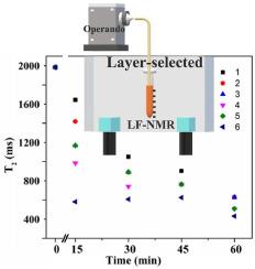 Monitoring Cr(VI) photoreduction at different depths by operando low-field NMR relaxometry