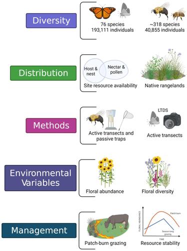 Pollinator research provides conservation management implications in North Dakota