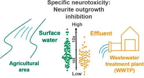 Monitoring Mixture Effects of Neurotoxicants in Surface Water and Wastewater Treatment Plant Effluents with Neurite Outgrowth Inhibition in SH-SY5Y Cells