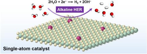 Designing single-atom catalysts toward improved alkaline hydrogen evolution reaction