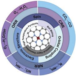 Fe–N–C single atom catalysts for the electrochemical conversion of carbon, nitrogen and oxygen elements