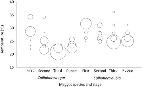 Climatic and biotic influences on the distributions of Calliphora augur and Calliphora dubia (Diptera: Calliphoridae)