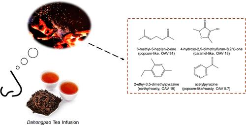 Decoding the Specific Roasty Aroma Wuyi Rock Tea (Camellia sinensis: Dahongpao) by the Sensomics Approach