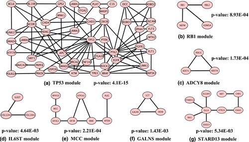 Identifying driver modules based on multi-omics biological networks in prostate cancer