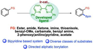 Ligand-enabled C–H borylation of diverse classes of arenes