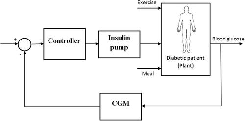 Positive input observer-based controller design for blood glucose regulation for type 1 diabetic patients: A backstepping approach