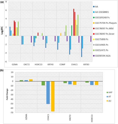 CHAC1 as a novel biomarker for distinguishing alopecia from other dermatological diseases and determining its severity