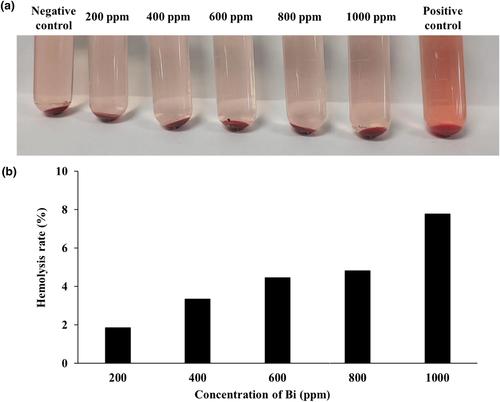 Lipid-coated bismuth nanoflower as the thermos-radio sensiti for therapy of lung metastatic breast cancer: Preparation, optimisation, and characterisation