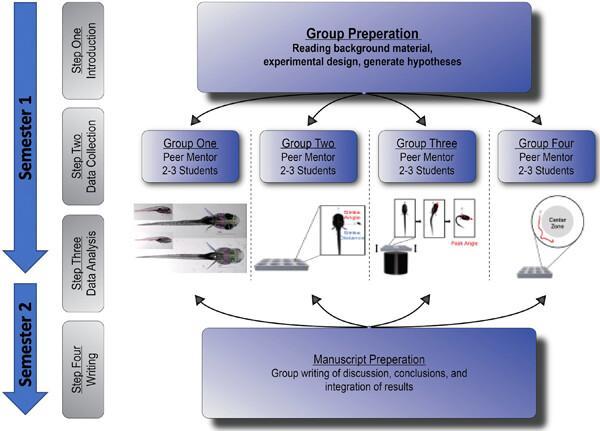 Course-based undergraduate research experiences (CURES) as a pathway to diversify science