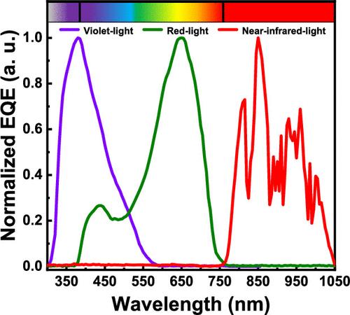 Double-Layered Strategy for Broadband Photomultiplication-Type Organic Photodetectors and Achieving Narrowband Response in Violet, Red, and Near-Infrared Light