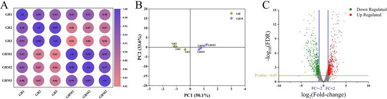 Improvement in L-ornithine production from mannitol via transcriptome-guided genetic engineering in Corynebacterium glutamicum.