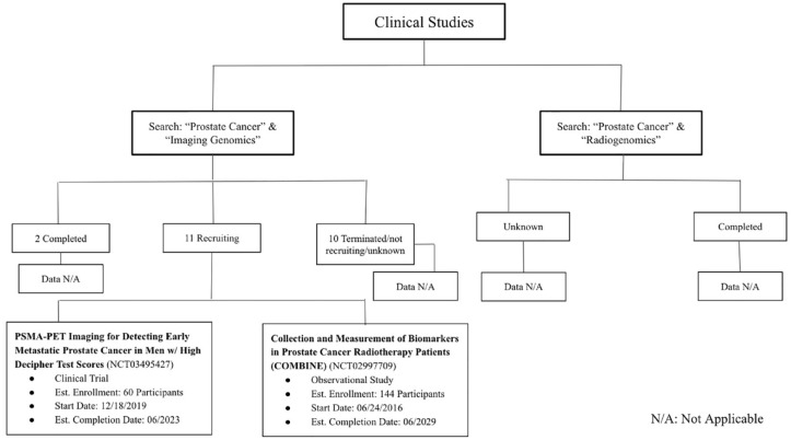 Radiogenomics influence on the future of prostate cancer risk stratification.