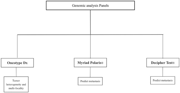 Radiogenomics influence on the future of prostate cancer risk stratification.