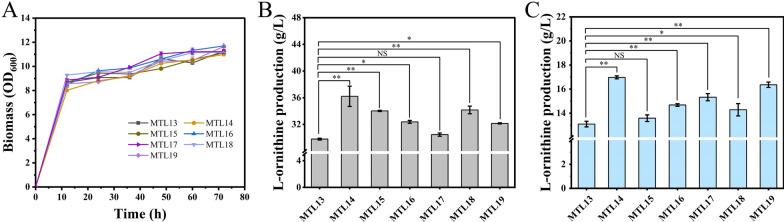 Improvement in L-ornithine production from mannitol via transcriptome-guided genetic engineering in Corynebacterium glutamicum.