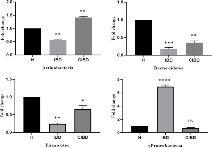 Dynamic Population of Gut Microbiota as an Indicator of Inflammatory Bowel Disease