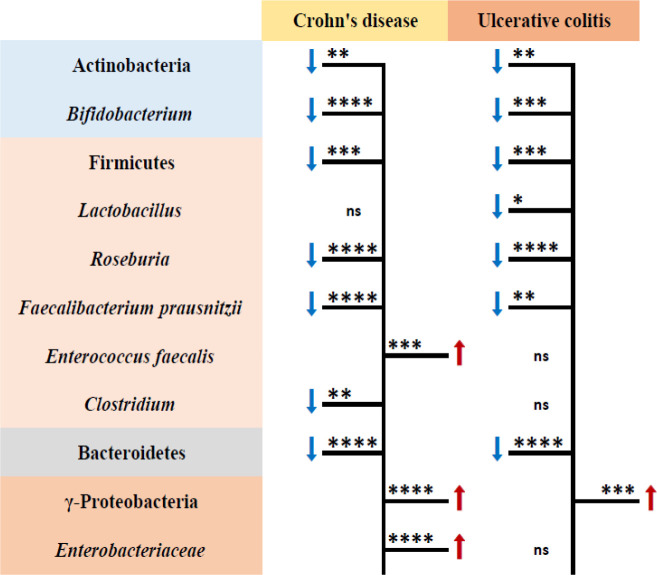 Dynamic Population of Gut Microbiota as an Indicator of Inflammatory Bowel Disease