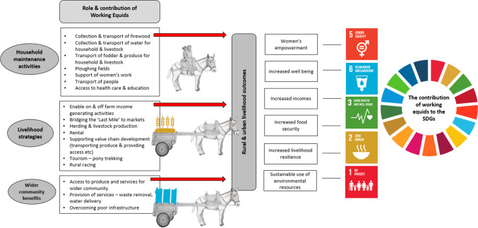 The Global Contributions of Working Equids to Sustainable Agriculture and Livelihoods in Agenda 2030.