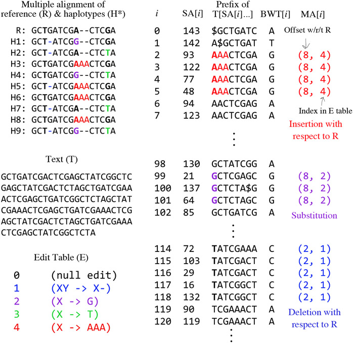 Pangenomic Genotyping with the Marker Array.