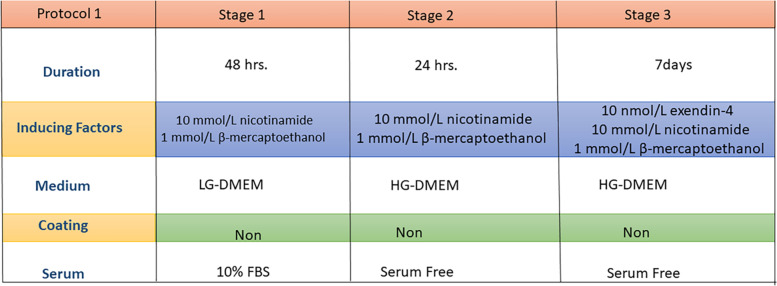 Optimization of differentiation protocols of dental tissues stem cells to pancreatic β-cells.