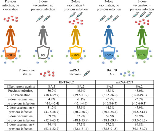 How will previous infection or current vaccination strategies protect us from future SARS-CoV-2 variant infections?