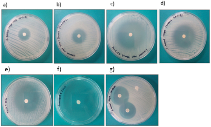 In vitro antimicrobial effect of essential tea tree oil(<i>Melaleuca alternifolia</i>), thymol, and carvacrol on microorganisms isolated from cases of bovine clinical mastitis.