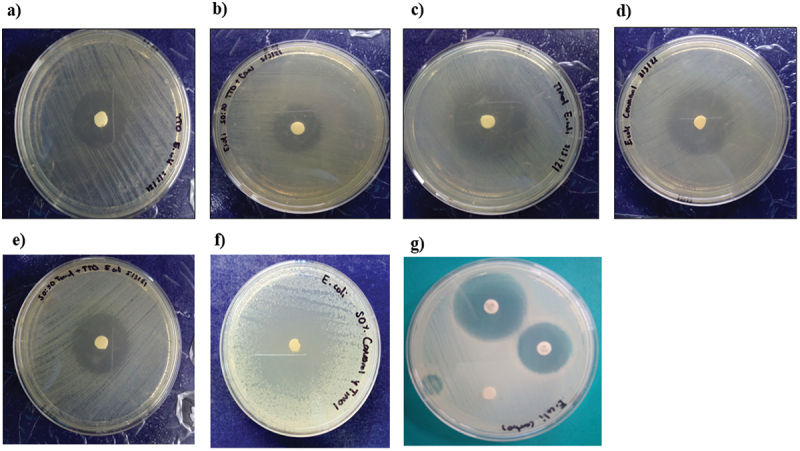 In vitro antimicrobial effect of essential tea tree oil(<i>Melaleuca alternifolia</i>), thymol, and carvacrol on microorganisms isolated from cases of bovine clinical mastitis.