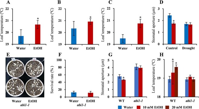 Ethanol-Mediated Novel Survival Strategy against Drought Stress in Plants.