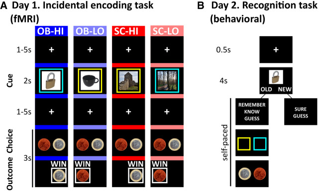 Category-specific memory encoding in the medial temporal lobe and beyond: the role of reward.