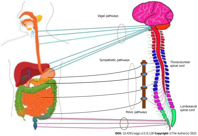 Electrical neuromodulation therapy for inflammatory bowel disease.