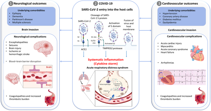 (Epi)transcriptomics in cardiovascular and neurological complications of COVID-19