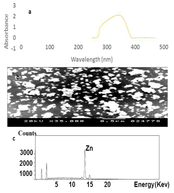 Use of DNA adduct and histopathological defects as indications for bio-persistence potency of zinc oxide nanoparticles in gastropod, Monacha cartusiana (Mǜller) after short-term exposure.