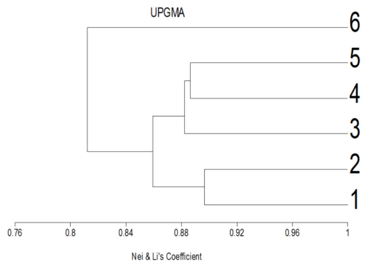 Use of DNA adduct and histopathological defects as indications for bio-persistence potency of zinc oxide nanoparticles in gastropod, Monacha cartusiana (Mǜller) after short-term exposure.