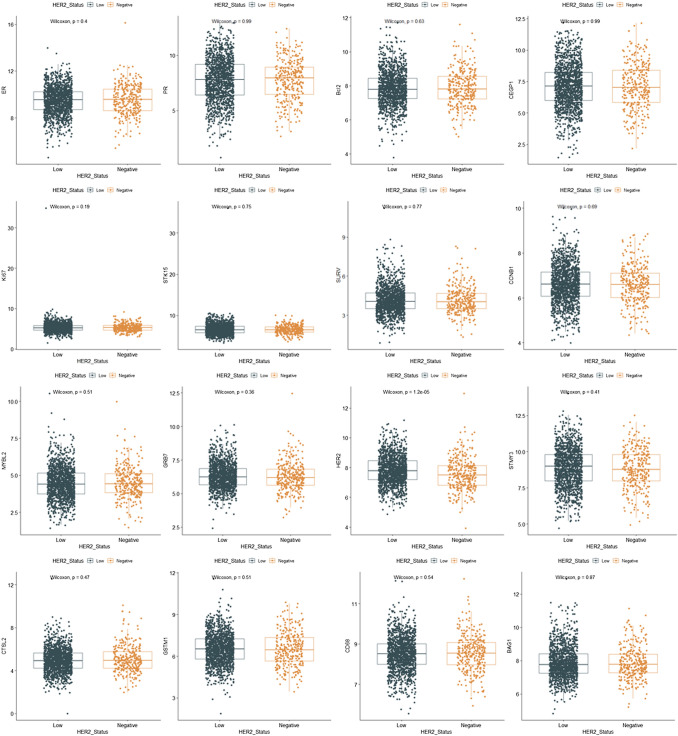 Prognostic values of clinical and molecular features in HER2 low-breast cancer with hormonal receptor overexpression: features of HER2-low breast cancer.