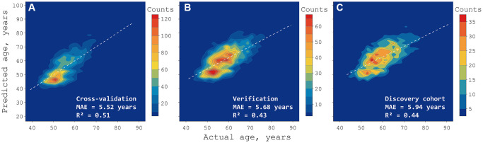 Psychological factors substantially contribute to biological aging: evidence from the aging rate in Chinese older adults.