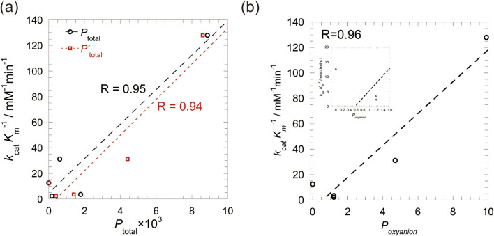 Investigation on substrate specificity and catalytic activity of serine protease neuropsin.