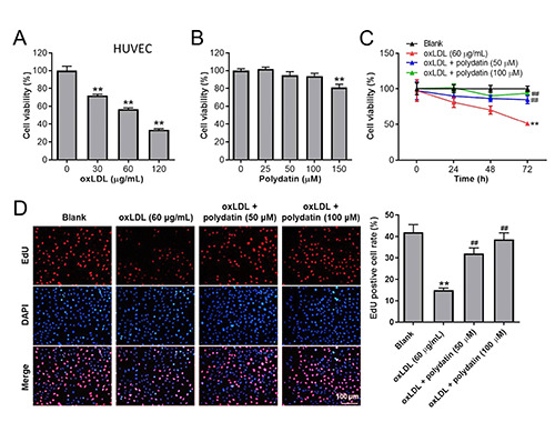 Polydatin reverses oxidation low lipoprotein (oxLDL)-induced apoptosis of human umbilical vein endothelial cells <em>via</em> regulating the miR-26a-5p/BID axis.