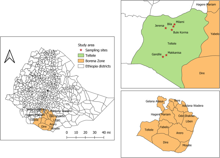 Seroepidemiology of <i>Neospora caninum</i> in Cattle of Pastoral Production System in Teltelle District of Borana Zone, Southern Ethiopia.