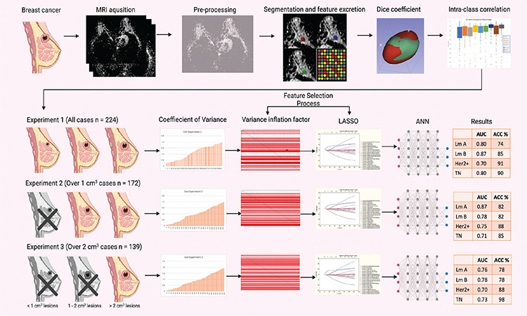 Radiomics Features Based on MRI-ADC Maps of Patients with Breast Cancer: Relationship with Lesion Size, Features Stability, and Model Accuracy.