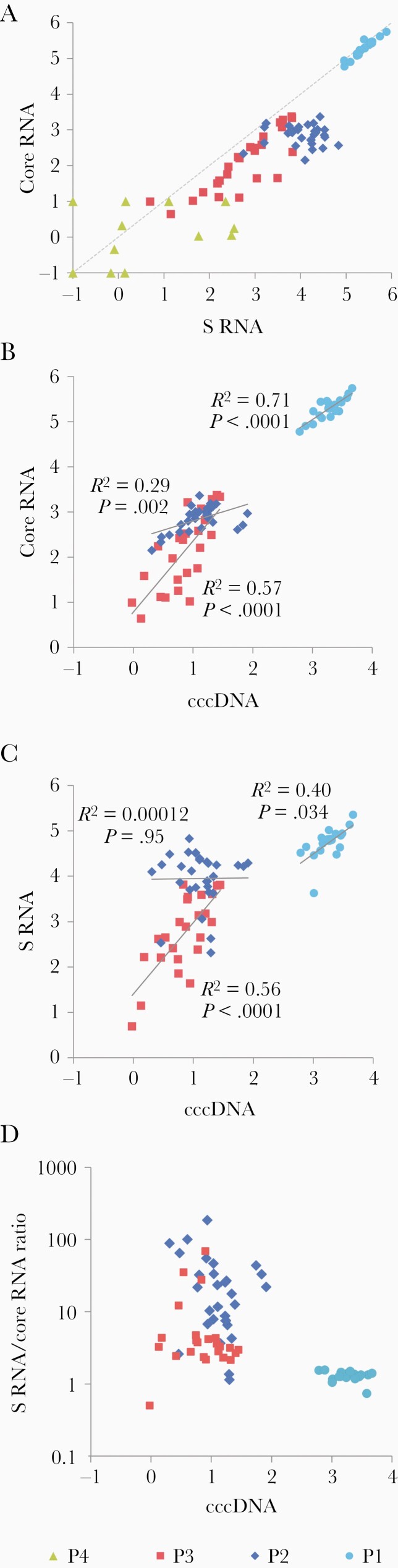 Quantification of Viral RNA in Multiple Pieces of Explant Liver Tissue Shows Distinct Focal Differences in Hepatitis B Infection.