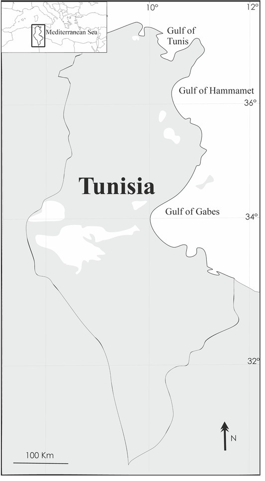 Checklist of The Monogenea (Platyhelminthes) Parasitic in Tunisian Aquatic Vertebrates.