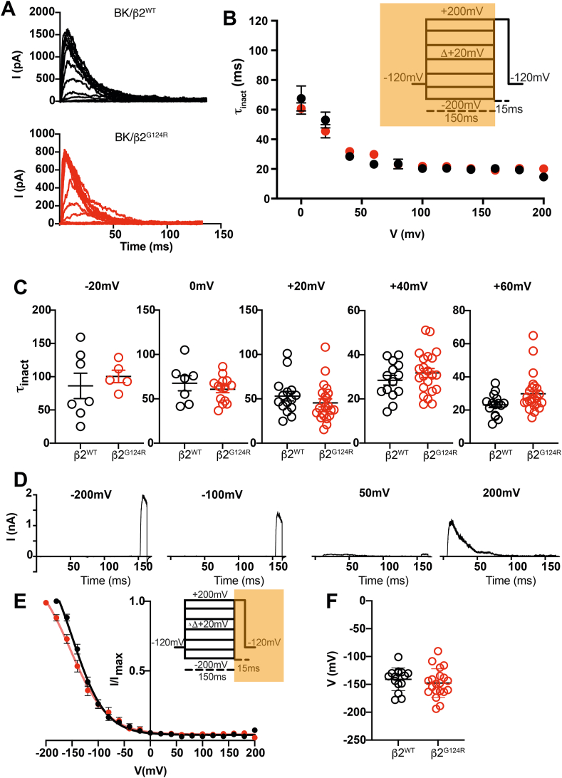 Effect of an autism-associated KCNMB2 variant, G124R, on BK channel properties