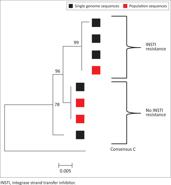 Low-level viraemia despite emergence of dolutegravir-resistant variants.