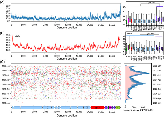 Massive-scale genomic analysis reveals SARS-CoV-2 mutation characteristics and evolutionary trends.