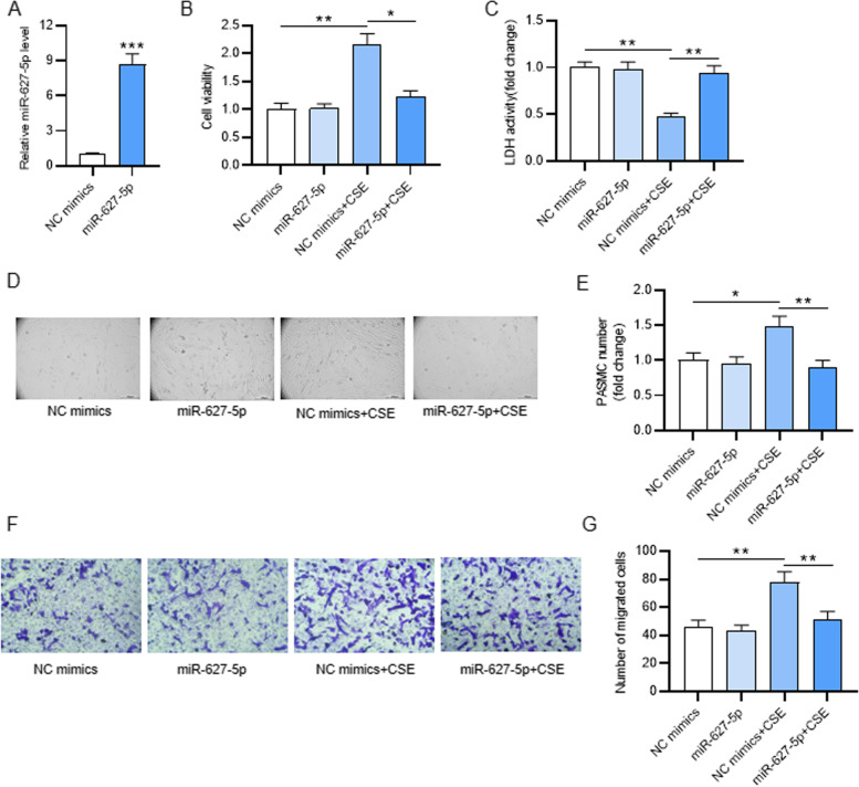 MicroRNA miR-627-5p restrains pulmonary artery smooth muscle cell dysfunction by targeting MAP 2 K4 and PI3K/AKT signaling.