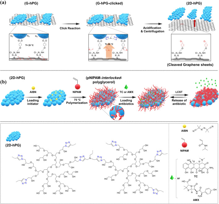 Thermoresponsive and antibacterial two-dimensional polyglycerol-<i>interlocked</i>-polynipam for targeted drug delivery.