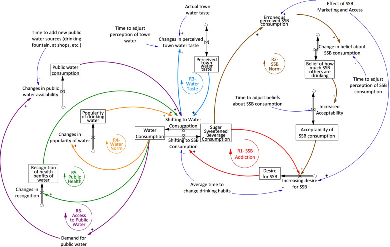 System dynamics modelling to engage community stakeholders in addressing water and sugar sweetened beverage consumption.