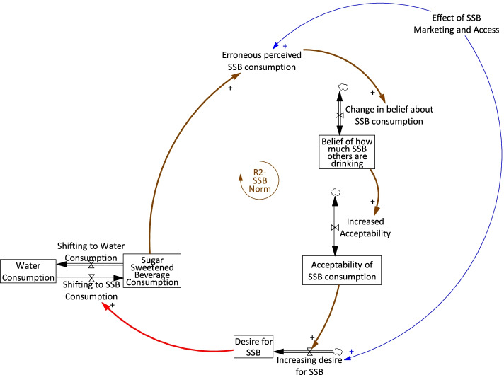 System dynamics modelling to engage community stakeholders in addressing water and sugar sweetened beverage consumption.