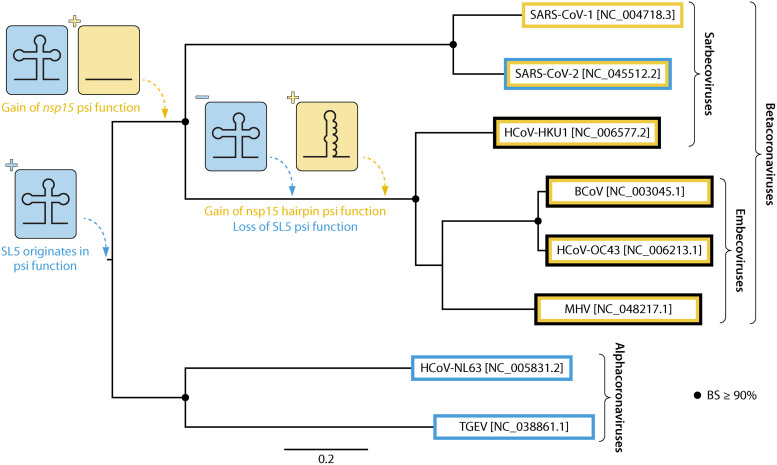 Lessons Learned and Yet-to-Be Learned on the Importance of RNA Structure in SARS-CoV-2 Replication.